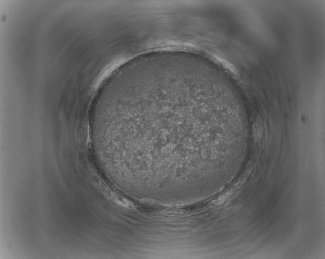 X0000058781267200510031011