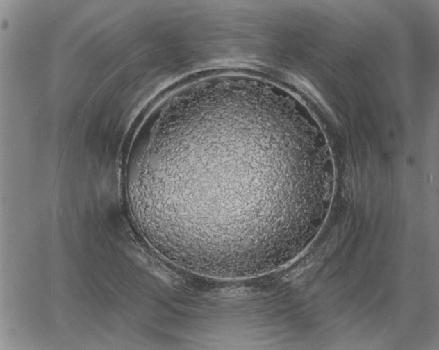 X0000058781268200510031011