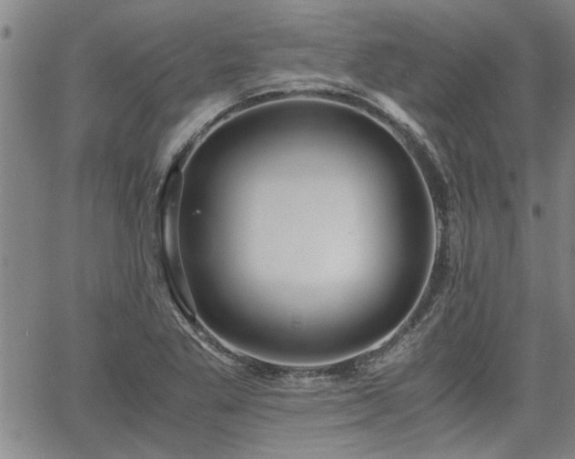 X0000058781269200510031011