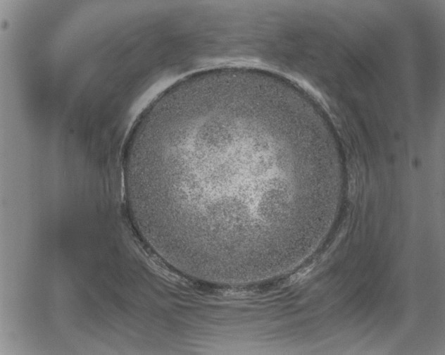 X0000058781271200510031011