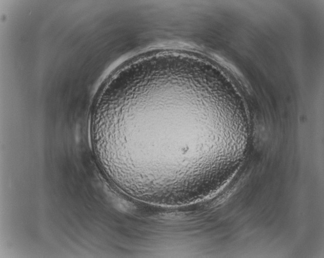 X0000058781272200510031011