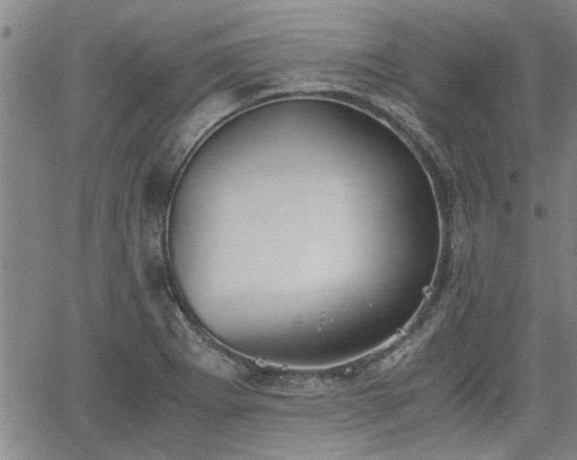 X0000058781273200510031011