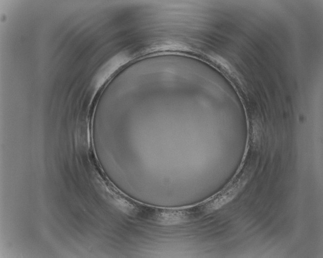 X0000058781274200510031011