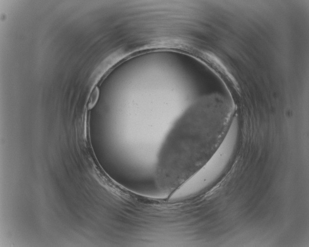 X0000058781276200510031011