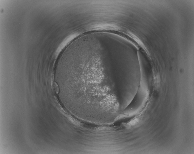 X0000058781277200510031011