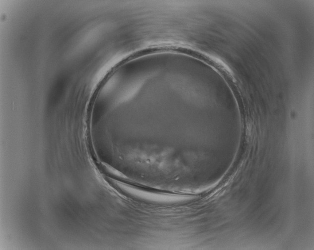 X0000058781279200510031011