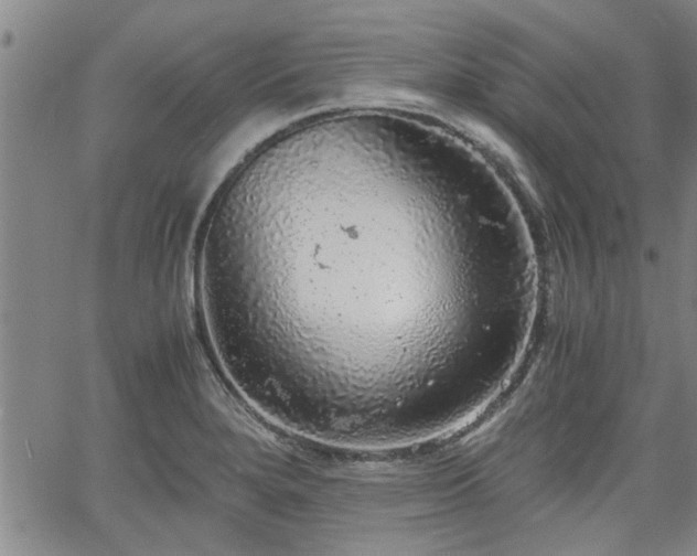 X0000058781280200510031010