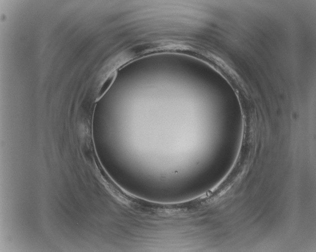 X0000058781281200510031010