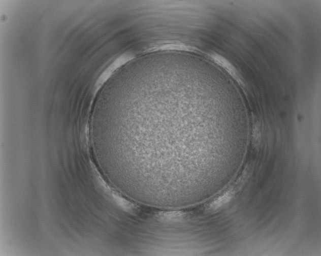 X0000058781282200510031010