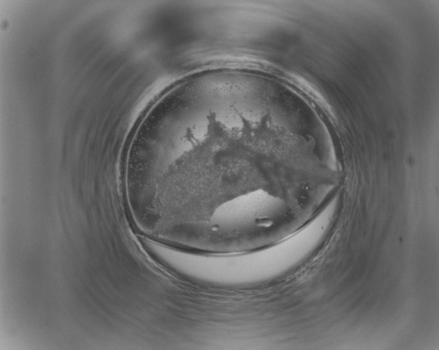 X0000058781283200510031010