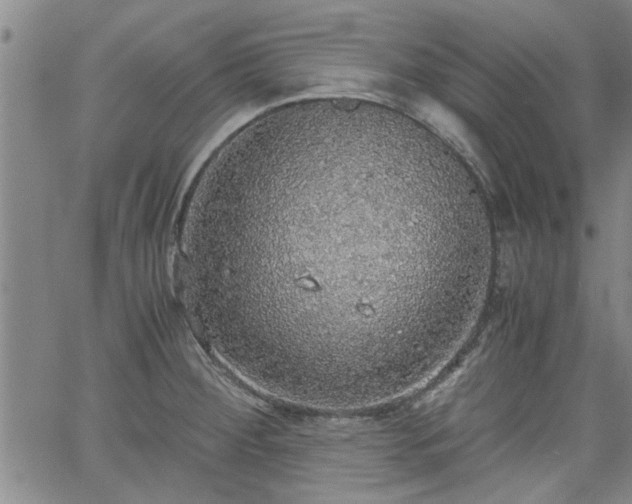 X0000058781284200510031010