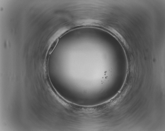 X0000058781285200510031010