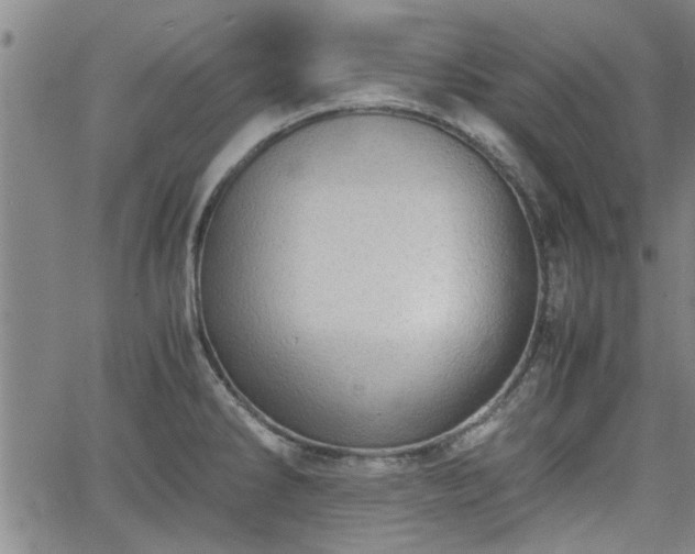 X0000058781286200510031010