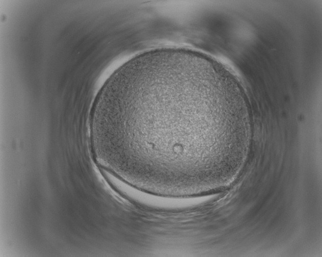 X0000058781287200510031010