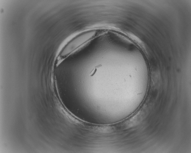 X0000058781288200510031010