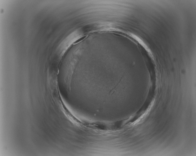 X0000058781289200510031010