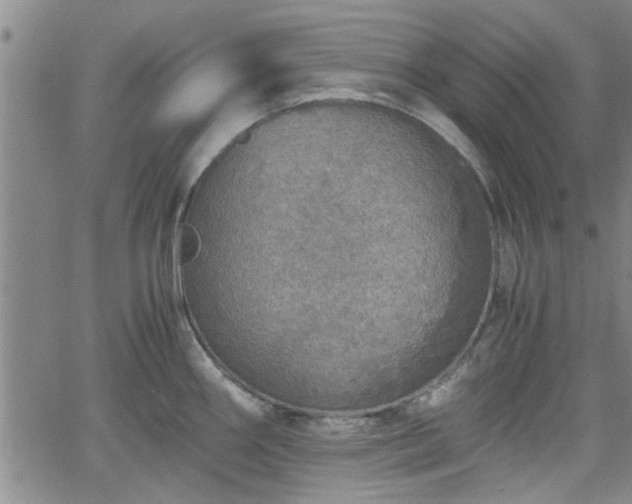 X0000058781290200510031010