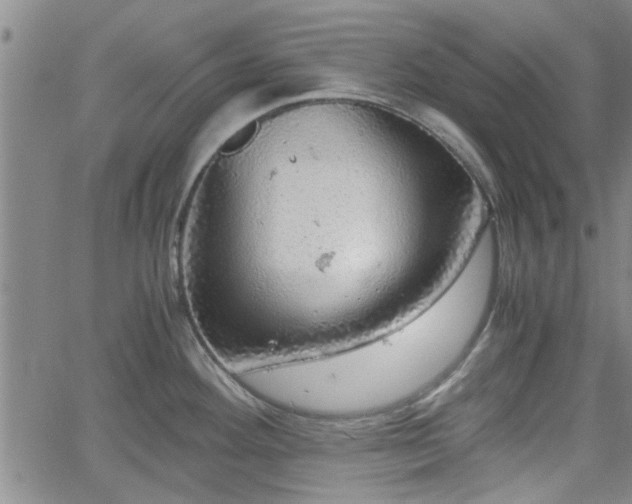 X0000058781292200510031010