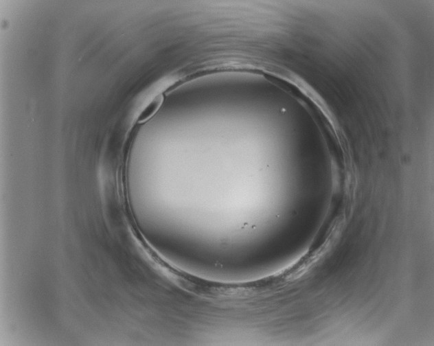 X0000058781293200510031010