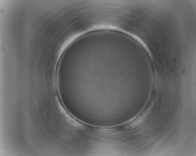 X0000058781295200510031010