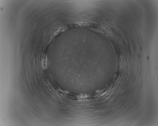 X0000058781298200510031009