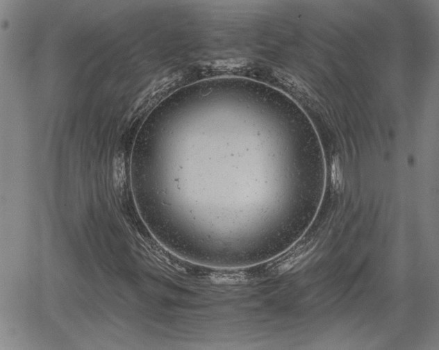 X0000058781299200510031009