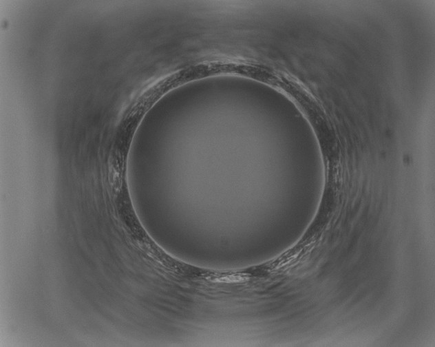 X0000058781303200510031010