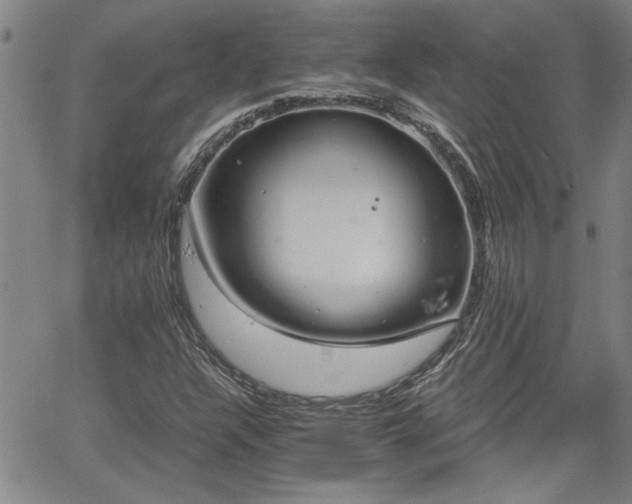 X0000058781304200510031010