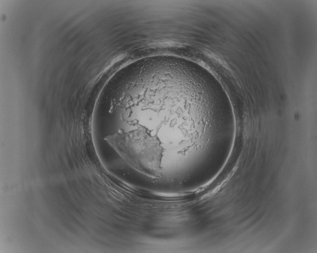 X0000058781305200510031010