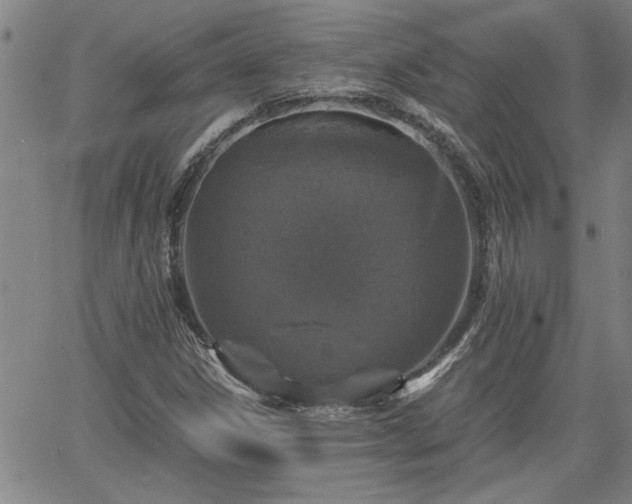 X0000058781306200510031010