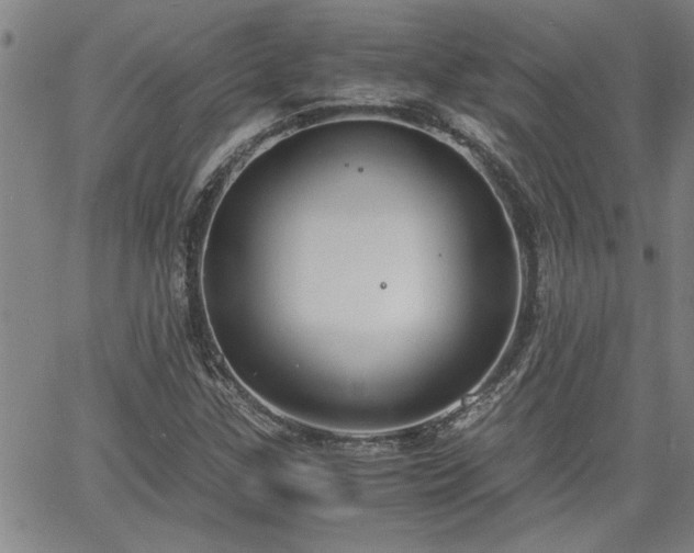 X0000058781307200510031010