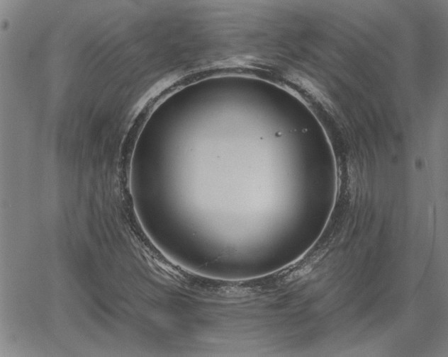 X0000058781308200510031010