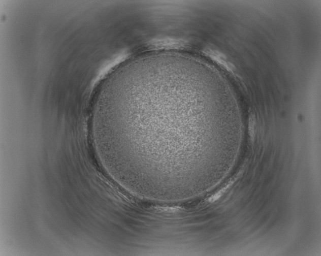 X0000058781309200510031010