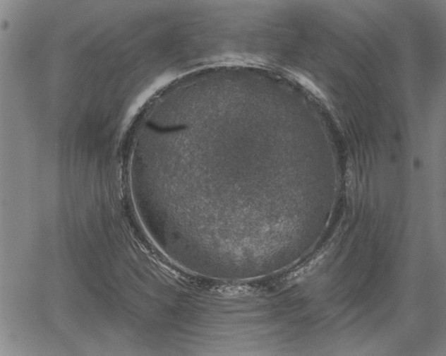 X0000058781310200510031010