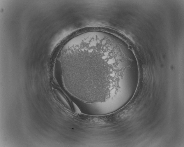 X0000058781311200510031010