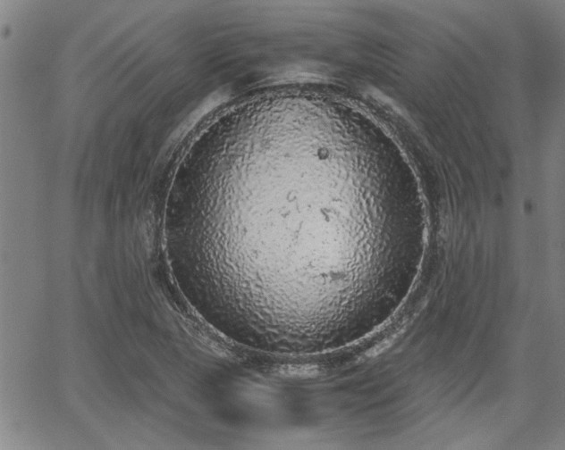 X0000058781313200510031010