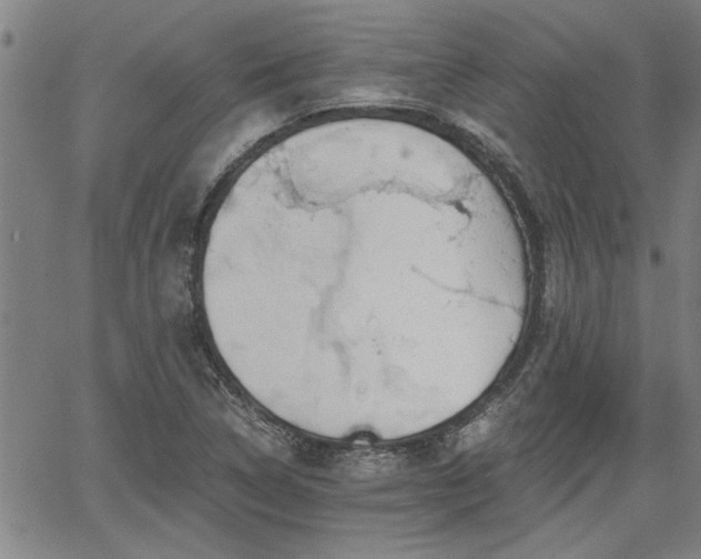 X0000058781314200510031010