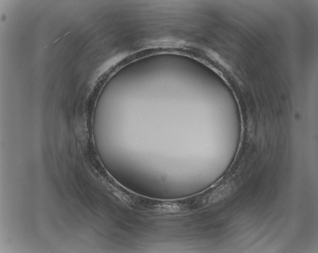 X0000058781315200510031010