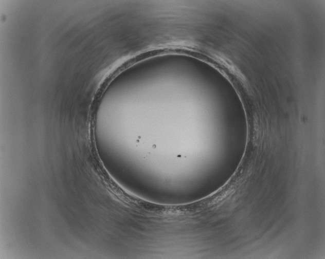 X0000058781316200510031010