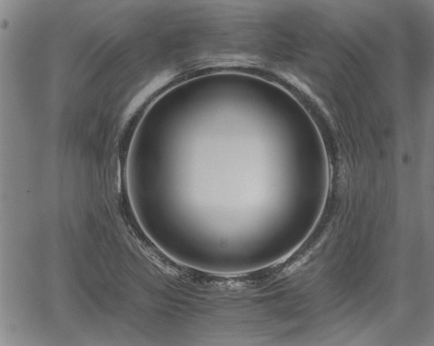 X0000058781317200510031010