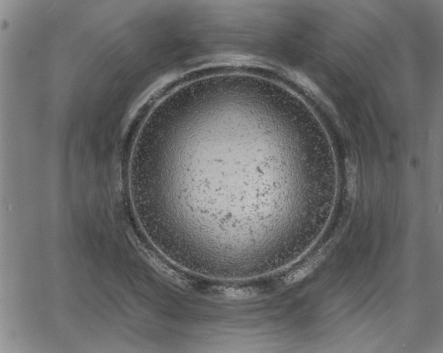 X0000058781318200510031010