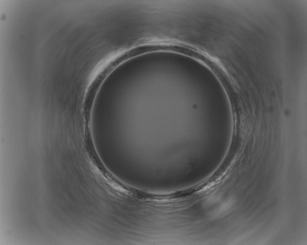 X0000058781319200510031010