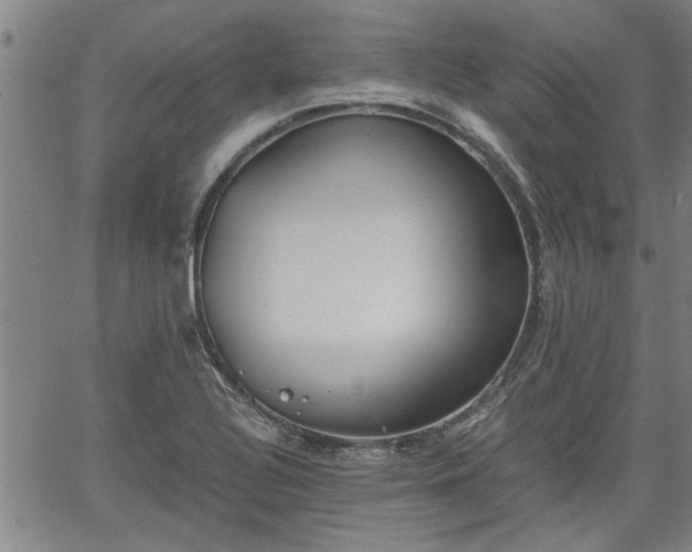 X0000058781320200510031010