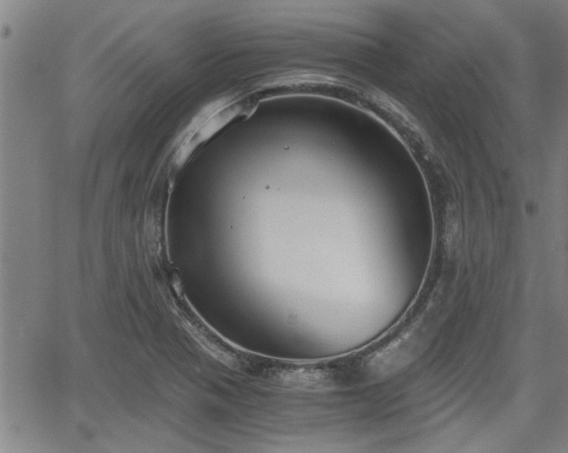 X0000058781321200510031010