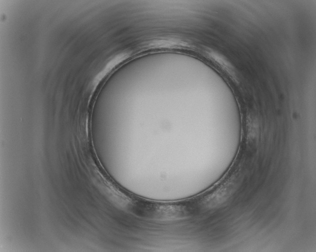 X0000058781322200510031010