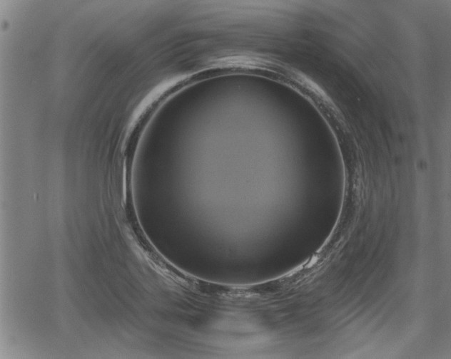 X0000058781323200510031010