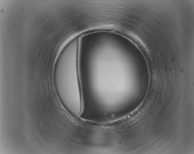 X0000058781324200510031010