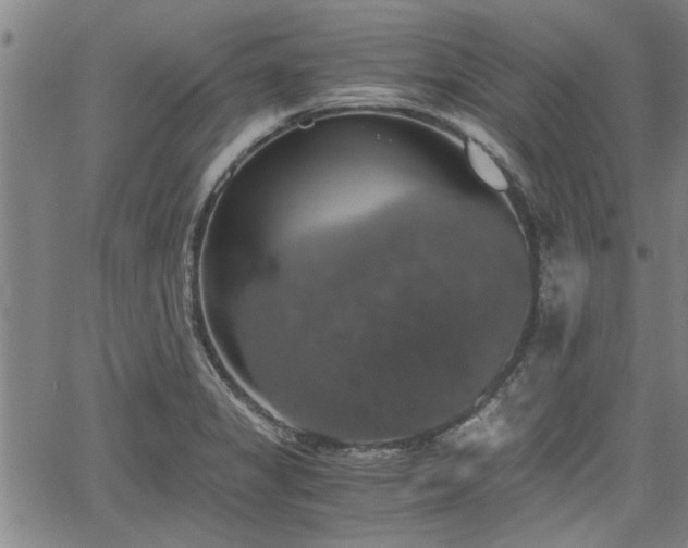 X0000058781325200510031010