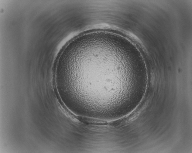 X0000058781326200510031010