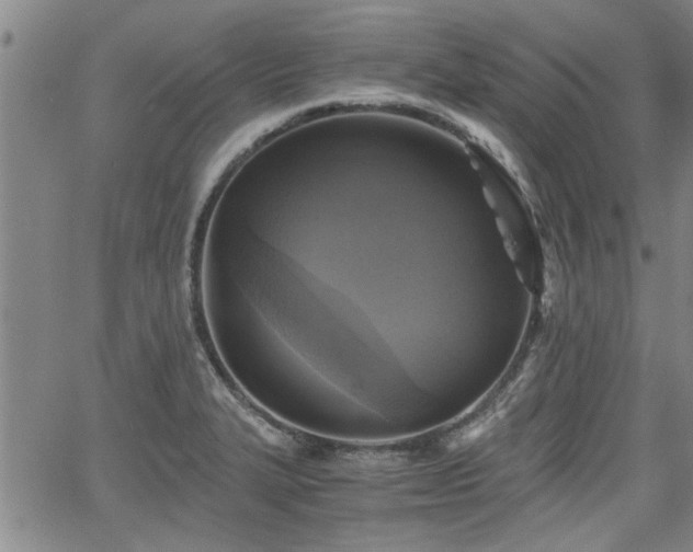 X0000058781327200510031010